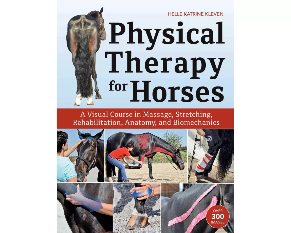 Physical Therapy for Horses