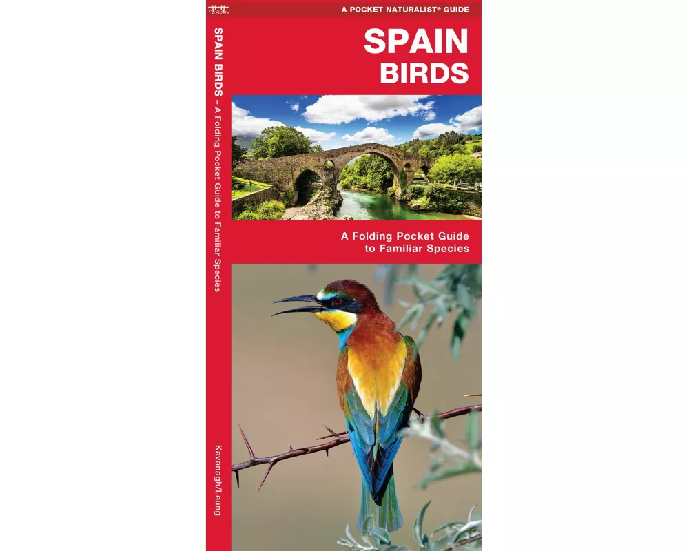 Spain Birds