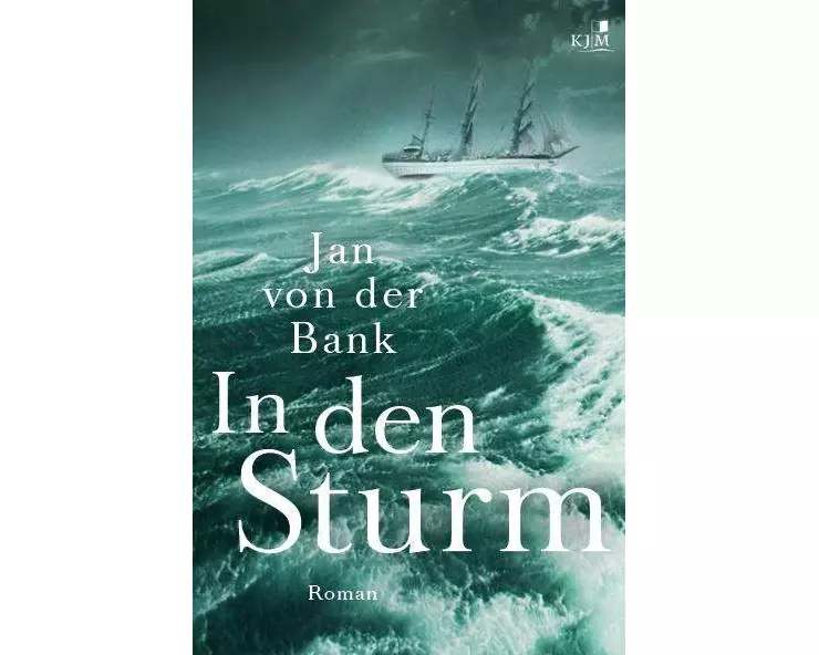 In den Sturm