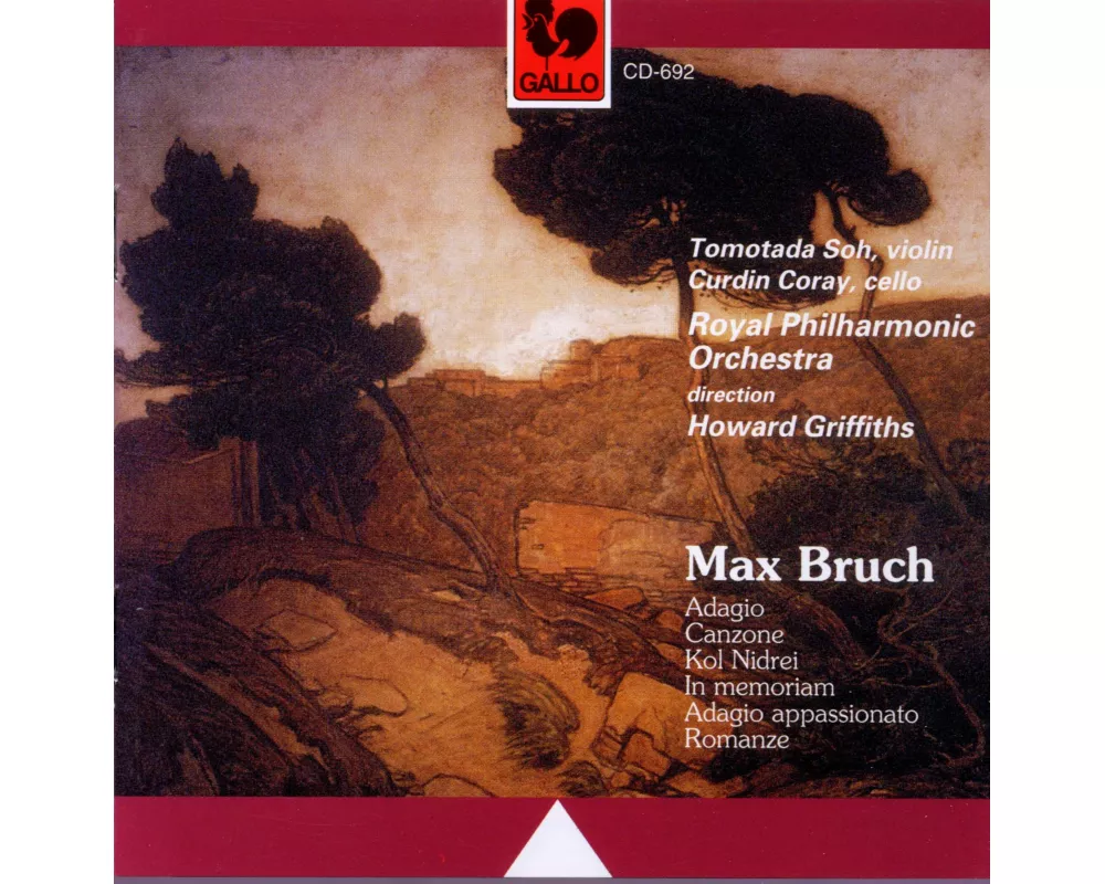 Violine und Cello mit Orchester