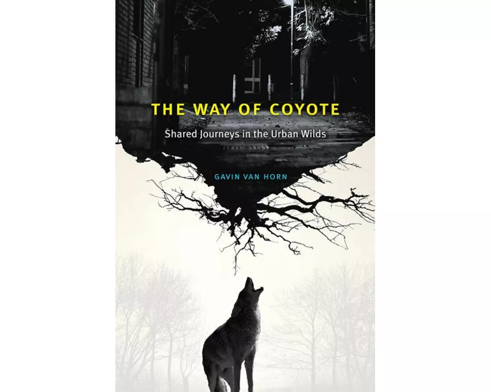 The Way of Coyote