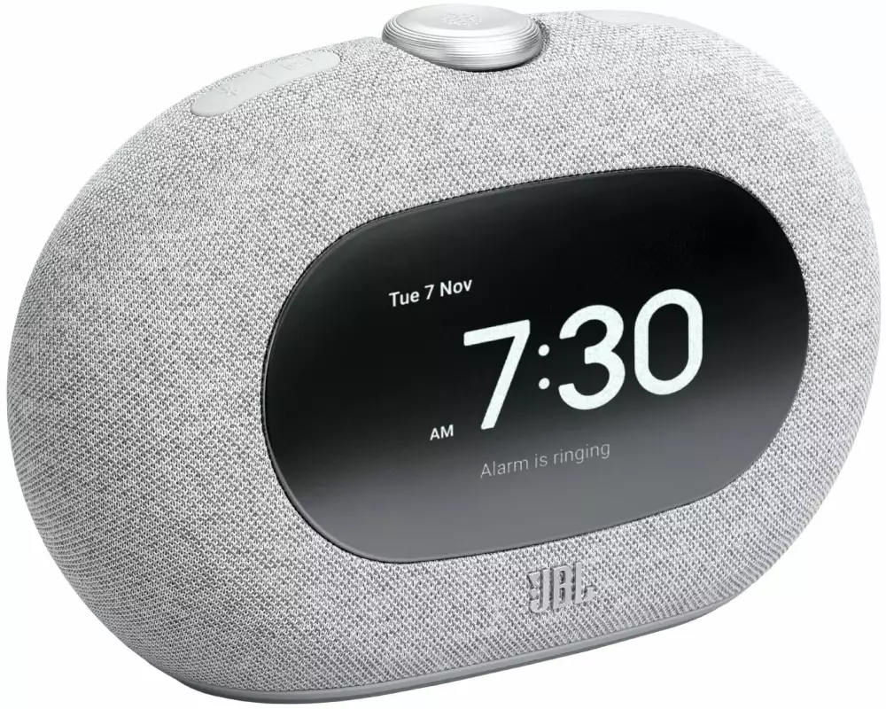 JBL DAB+ Radio Horizon 3 Grau