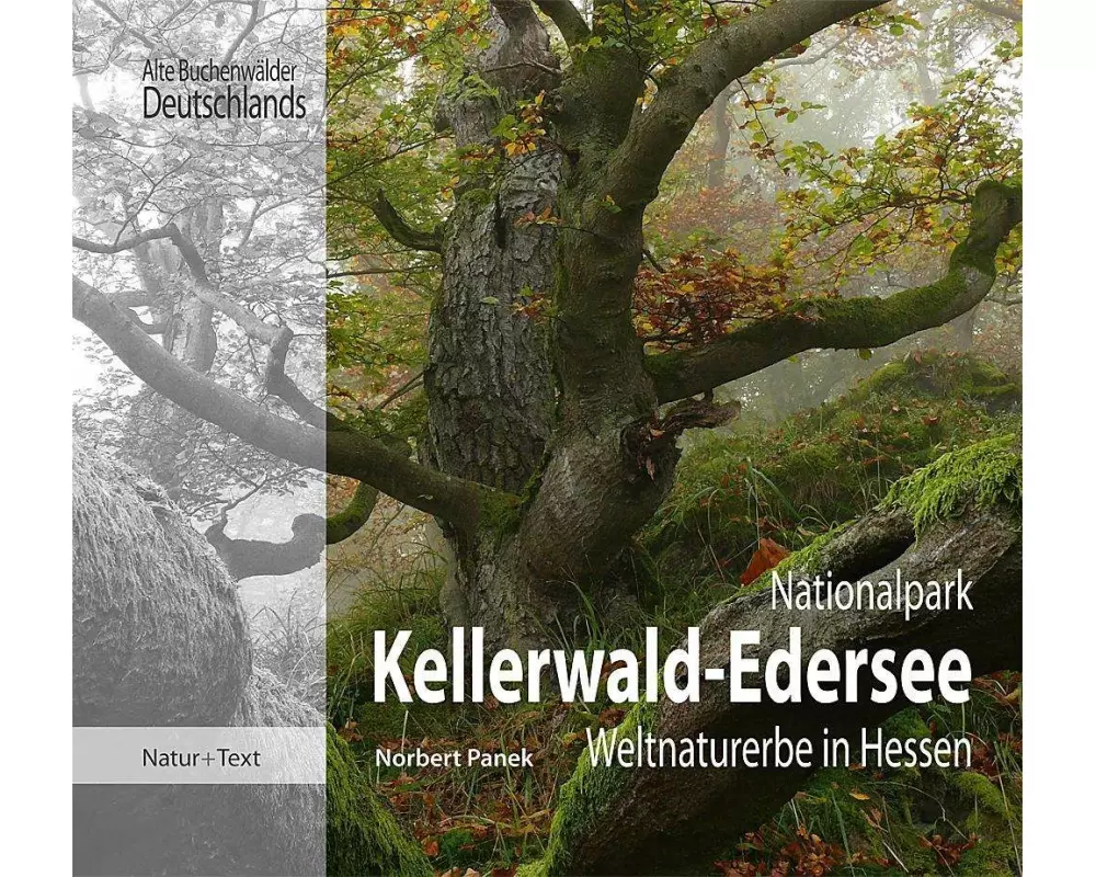 Nationalpark Kellerwald-Edersee