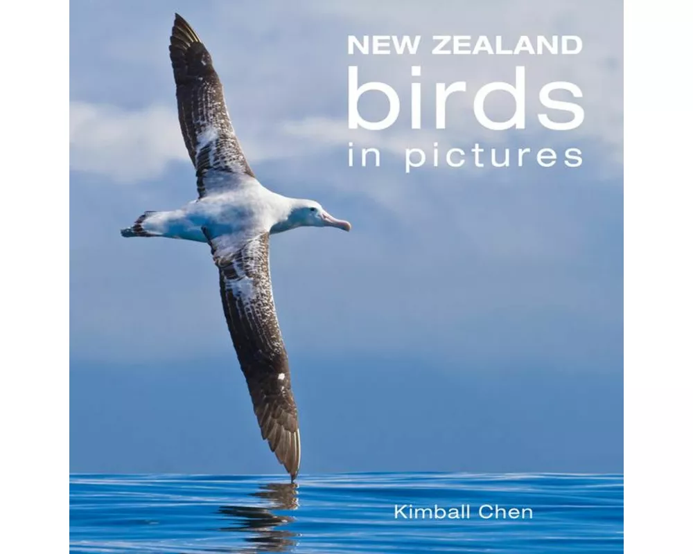 New Zealand Birds In Pictures