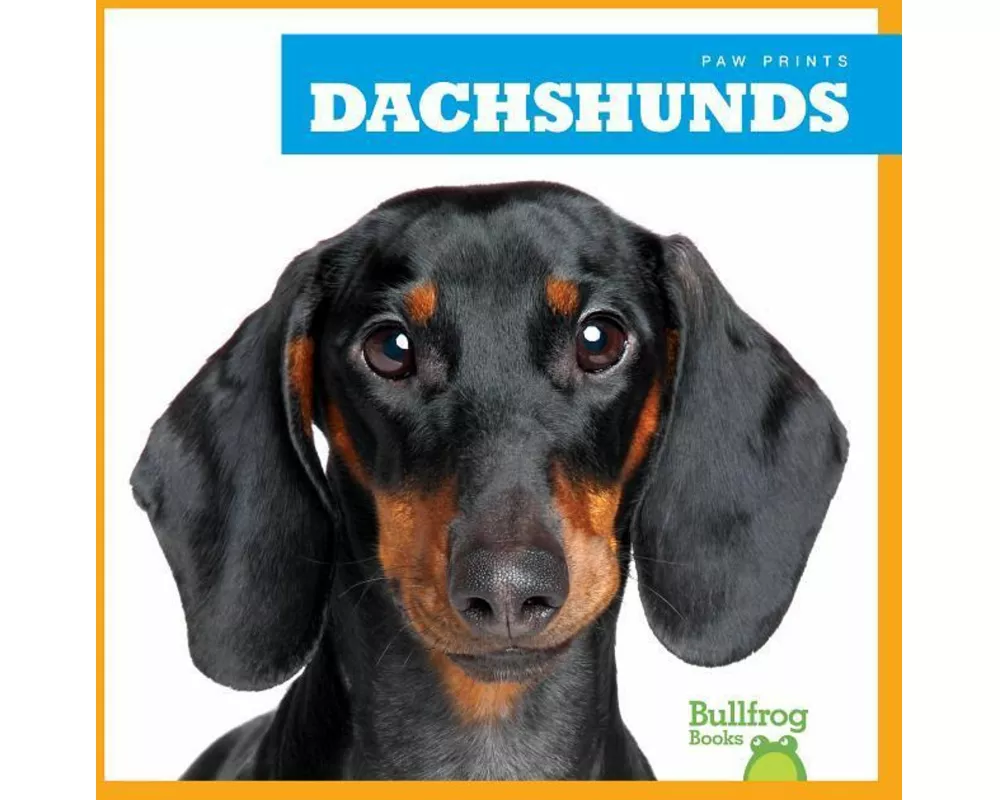 Dachshunds