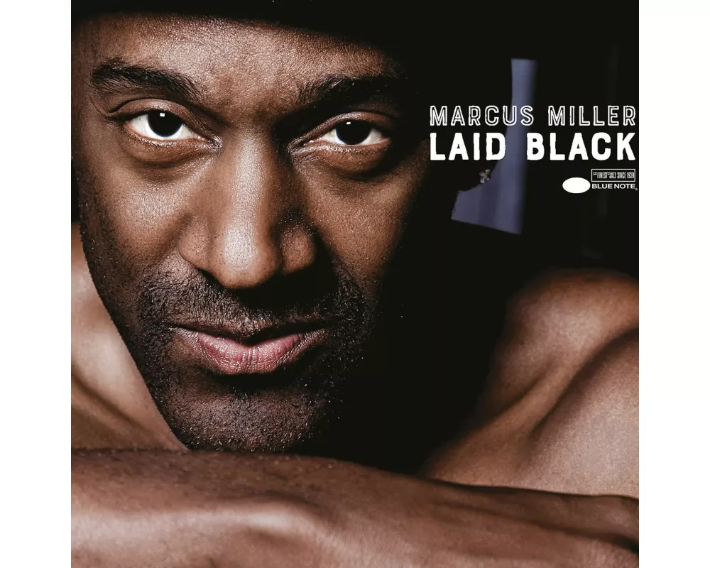 Laid Black