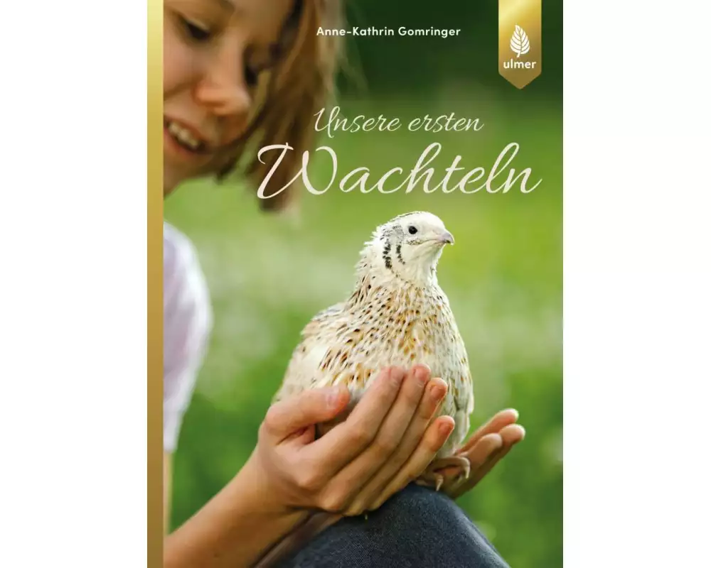 Unsere ersten Wachteln