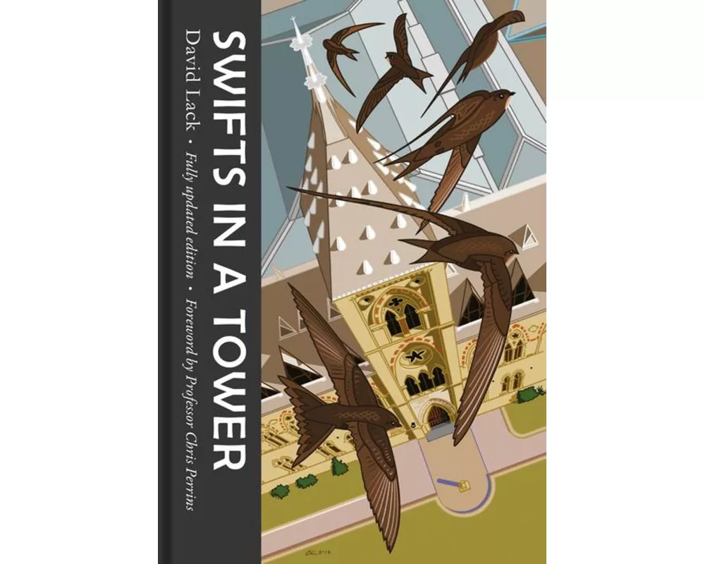 Swifts in a Tower
