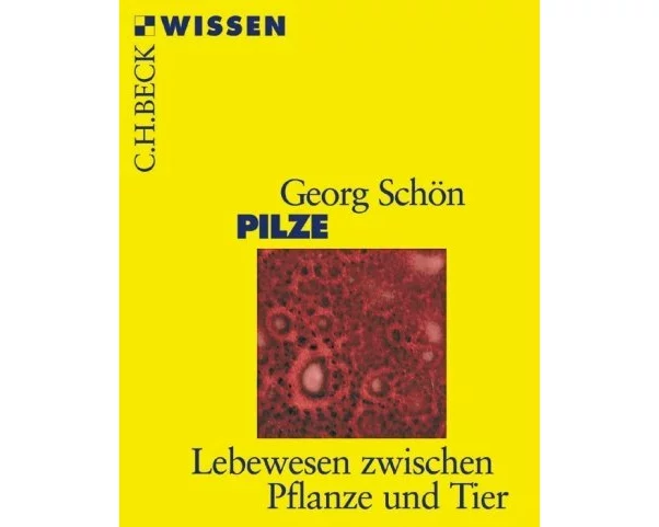 Pilze