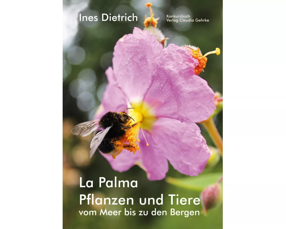 La Palma. Pflanzen und Tiere vom Meer bis zu den Bergen