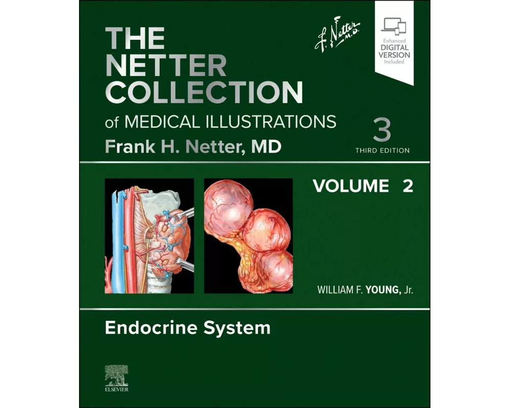 The Netter Collection of Medical Illustrations: Endocrine System, Volume 2
