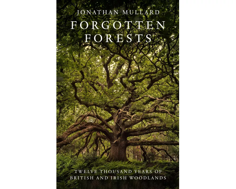 Forgotten Forests