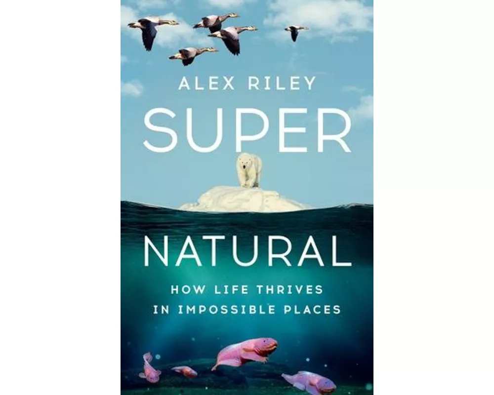 Super Natural