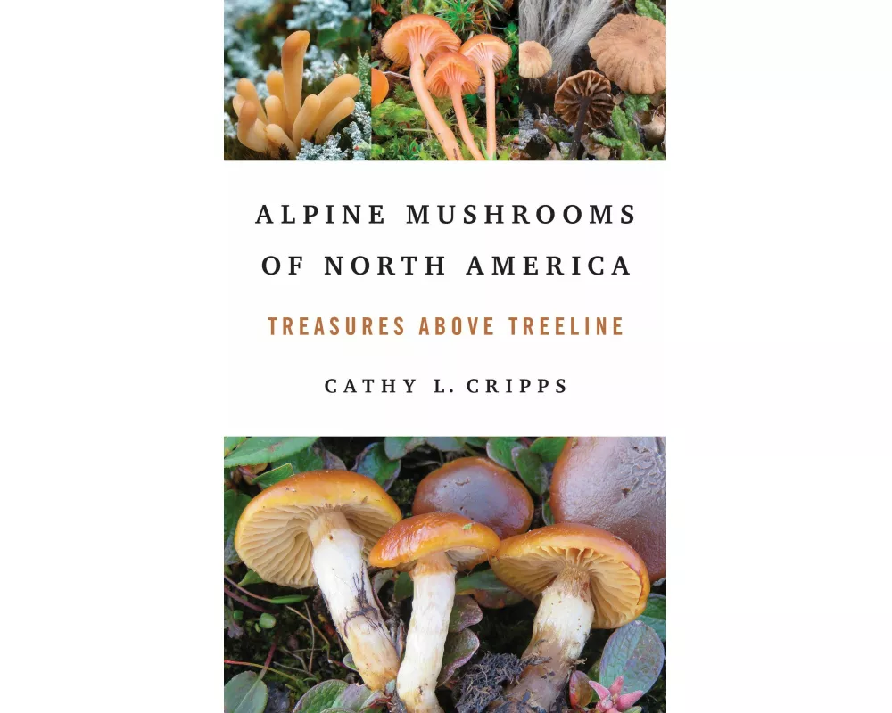 Alpine Mushrooms of North America