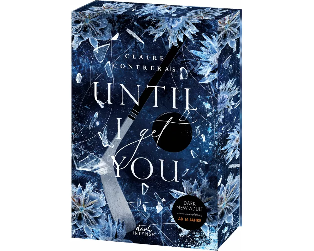 Until I Get You (Fairview Hockey, Band 1)
