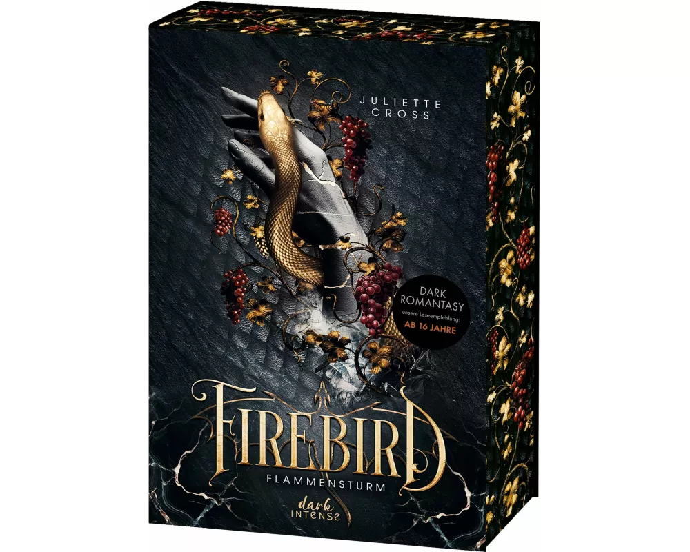 Flammensturm (Band 1) - Firebird