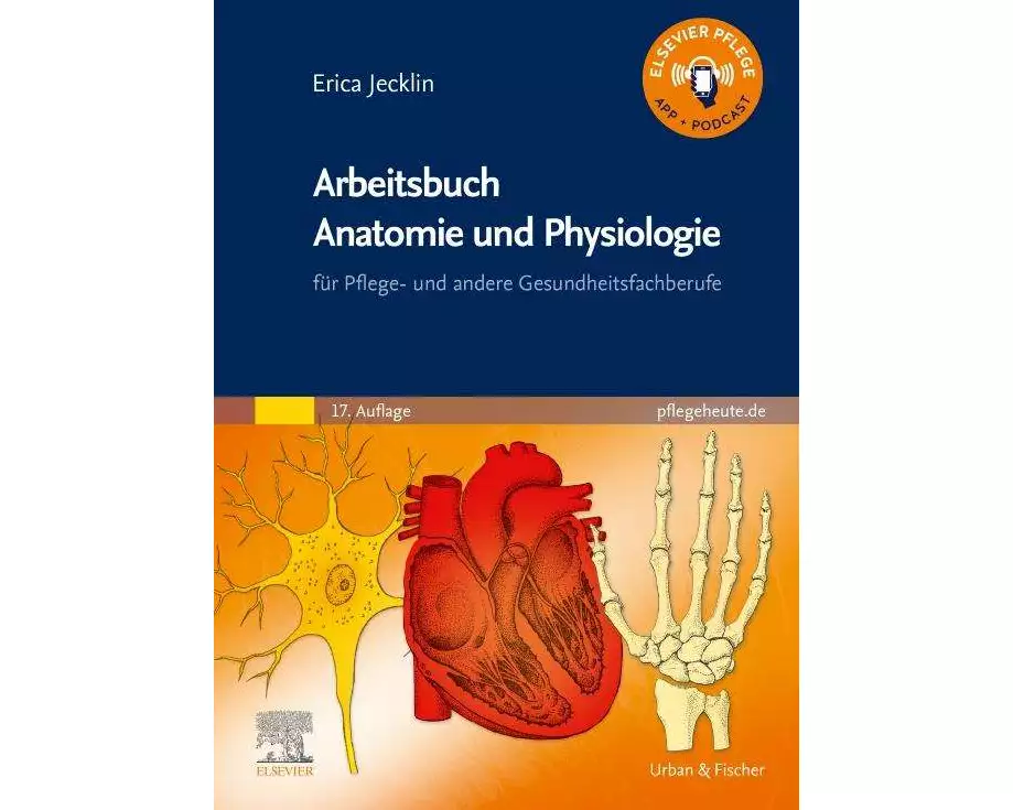Arbeitsbuch Anatomie und Physiologie