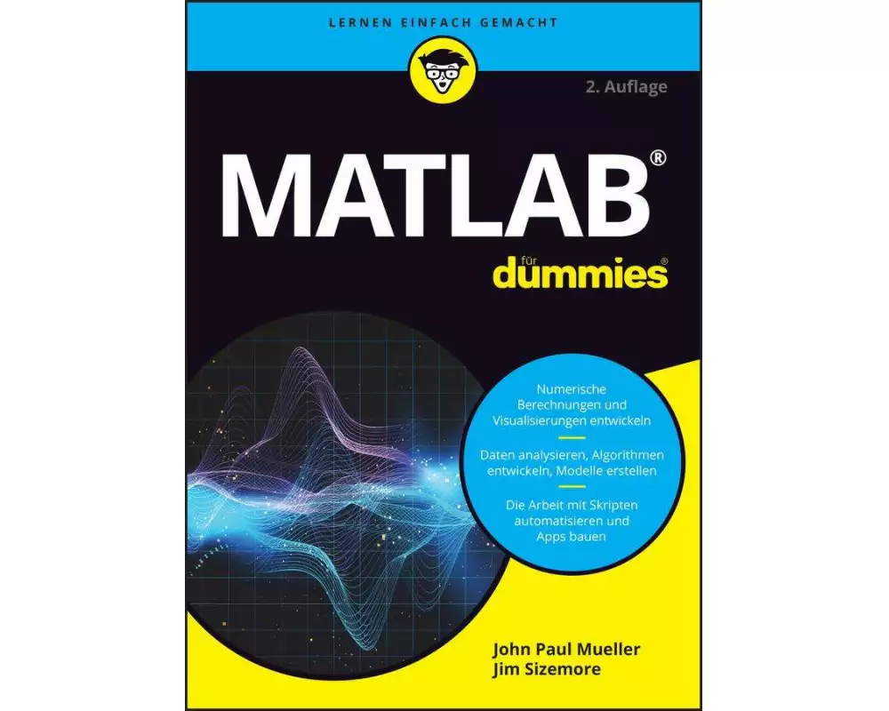 Matlab für Dummies