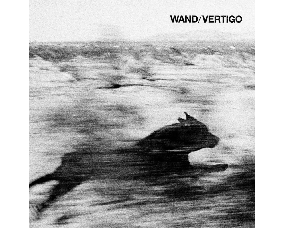 Vertigo