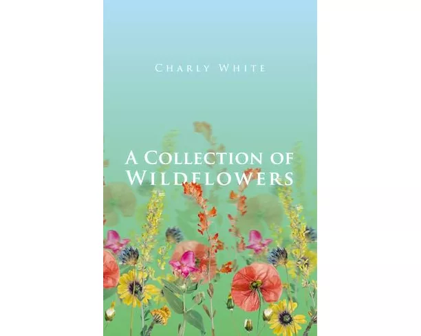 A Collection of Wildflowers