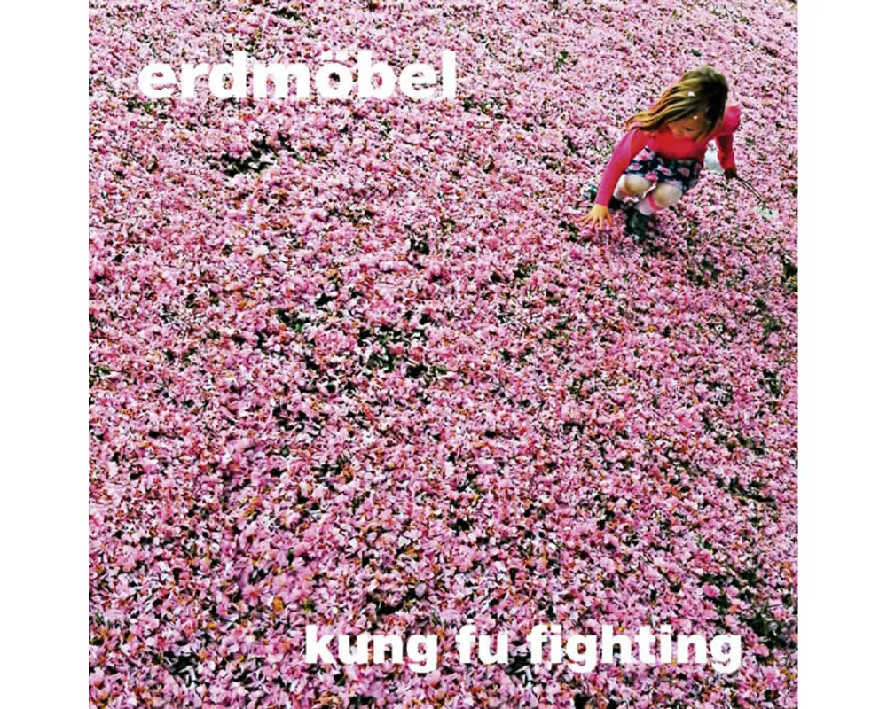 Kung Fu Fighting