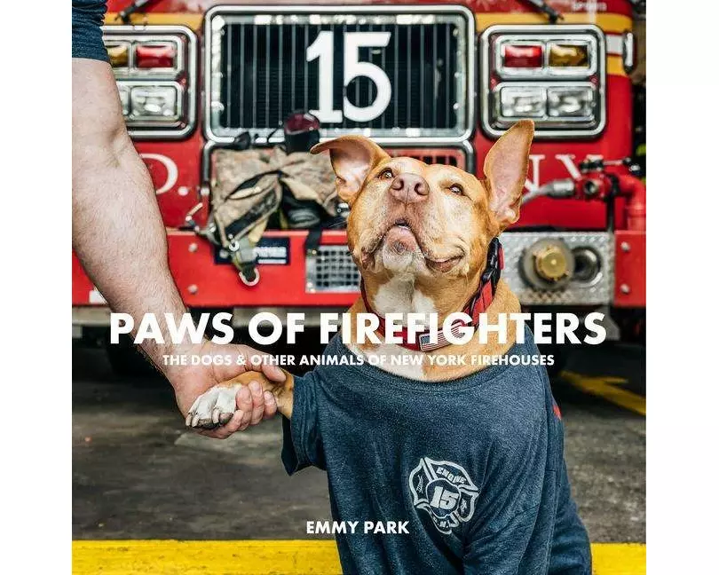 Paws of Firefighters