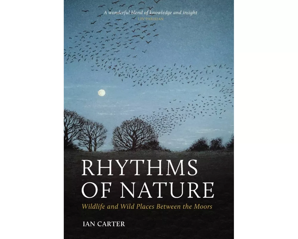 Rhythms of Nature