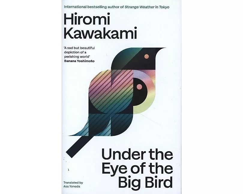 Under the Eye of the Big Bird