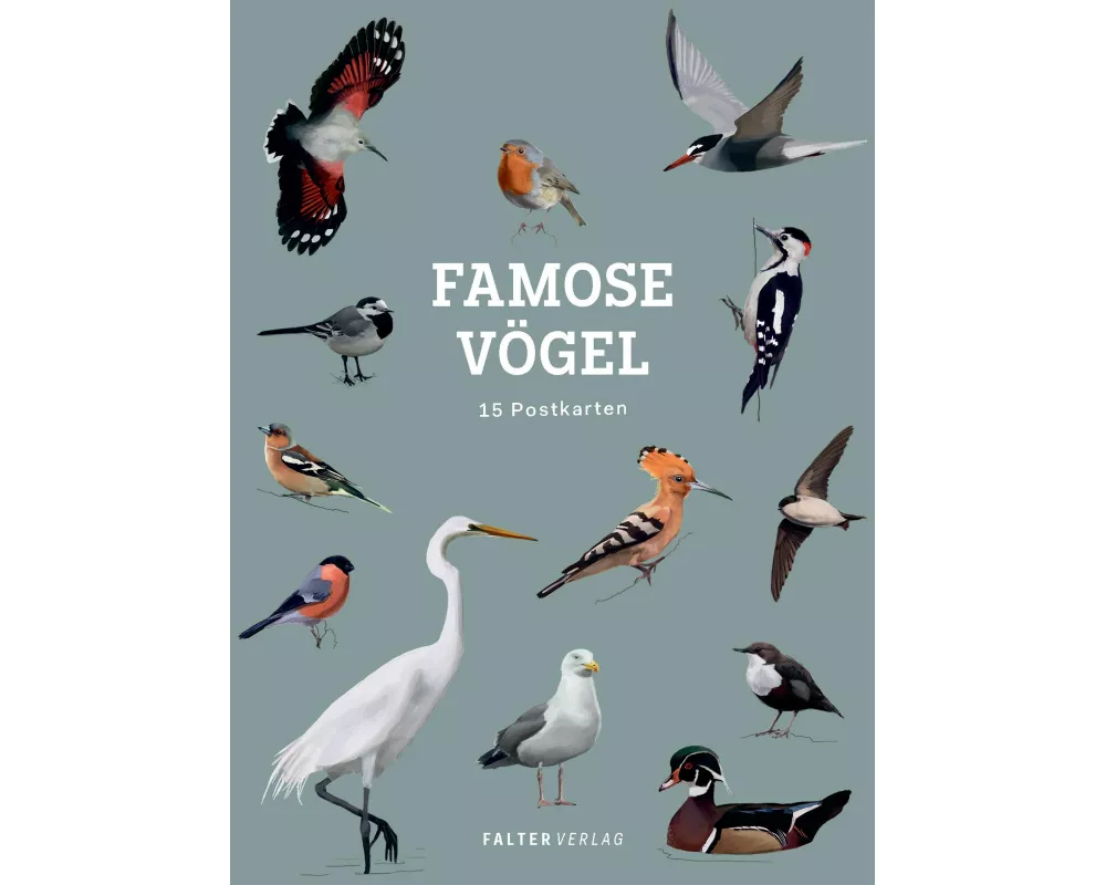 Famose Vögel - Postkartenbuch