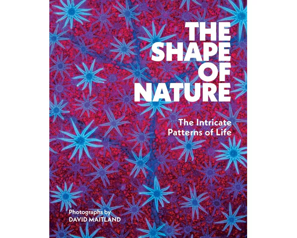 The Shape of Nature