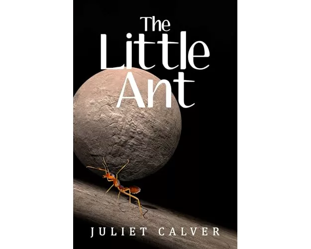 The Little Ant