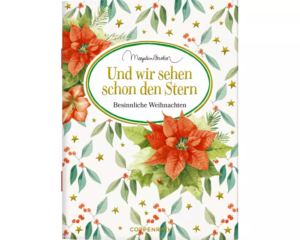 Und wir sehen schon den Stern