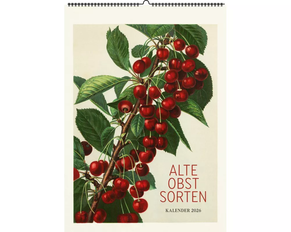Alte Obstsorten. Wandkalender 2026