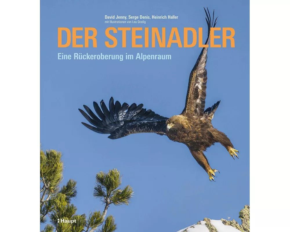 Der Steinadler