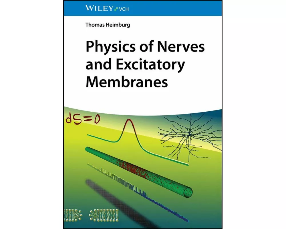 Physics of Nerves and Excitatory Membranes