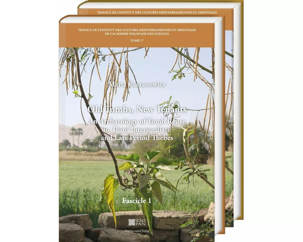 Old Tombs, New Tenants