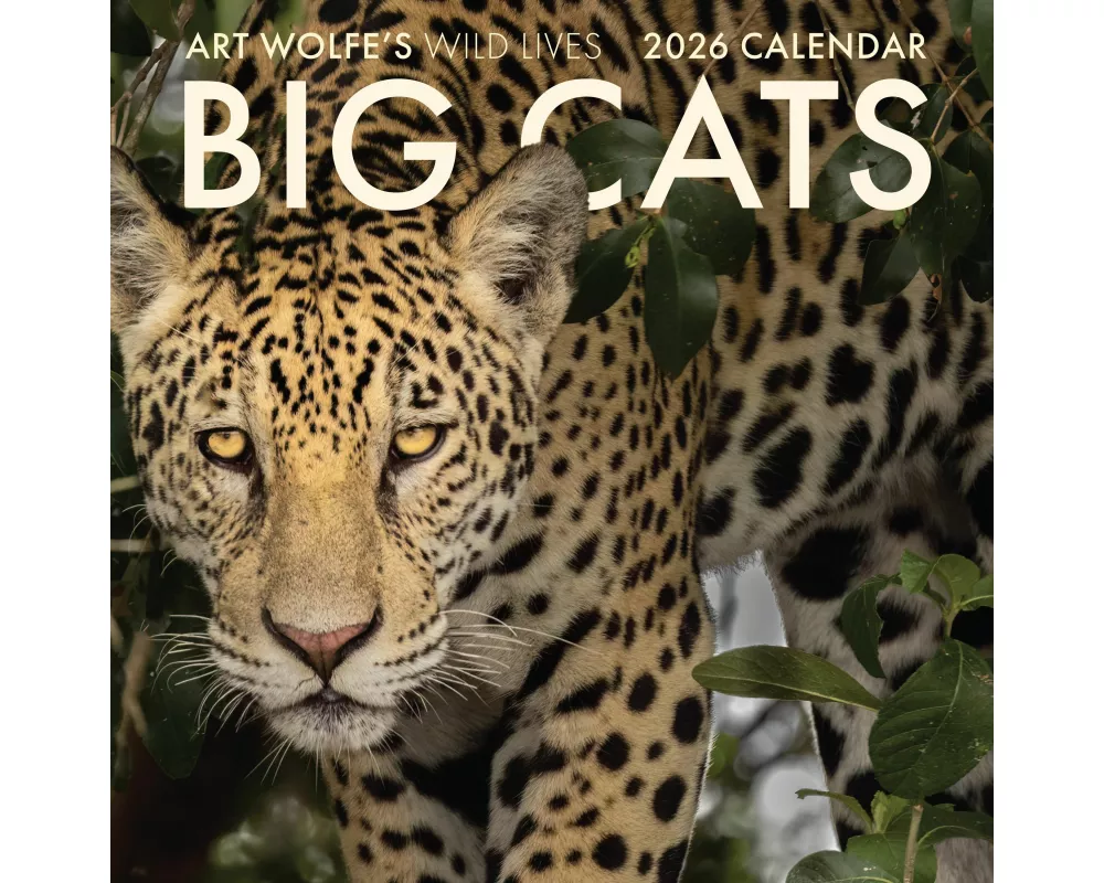 2026 Big Cats Wall Calendar