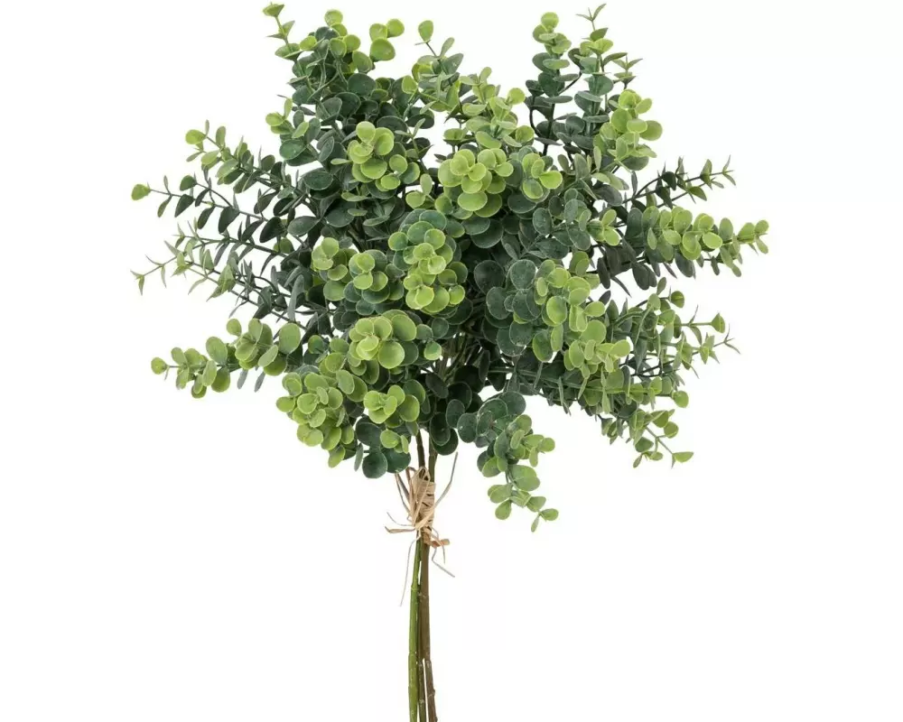 Botanic-Haus Kunstpflanze Eukalyptusbund 3er Set, 40 cm