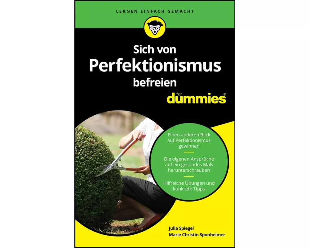 Sich von Perfektionismus befreien für Dummies