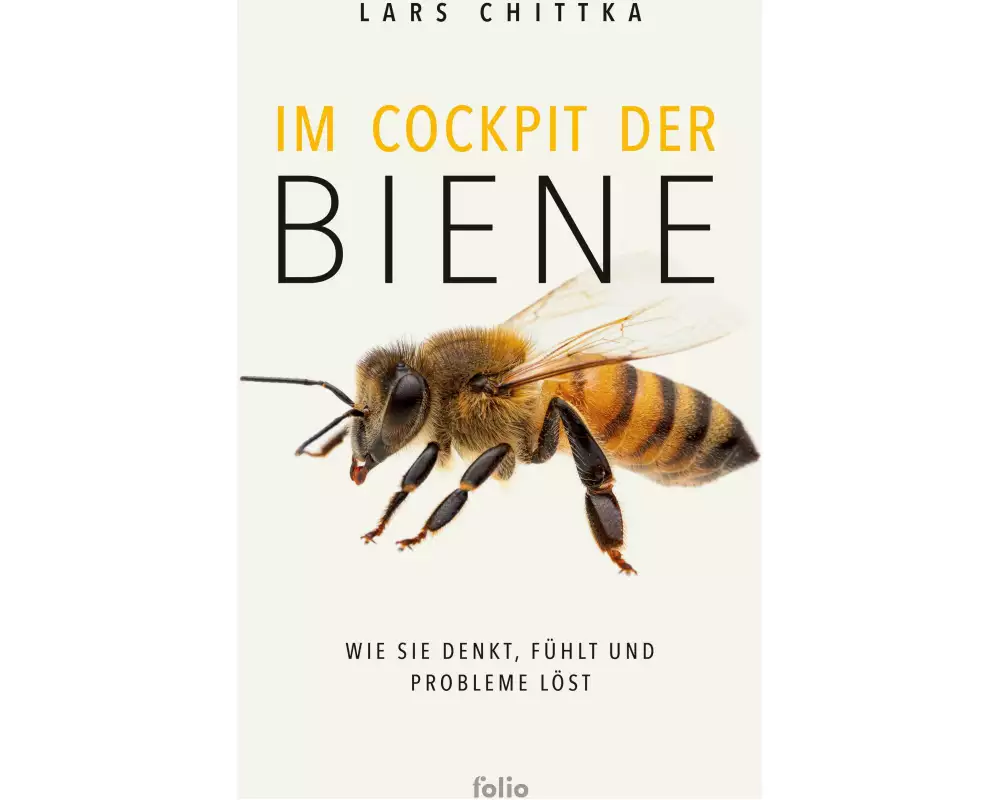 Im Cockpit der Biene