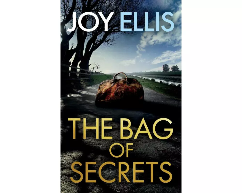 THE BAG OF SECRETS a gripping crime thriller with a huge twist