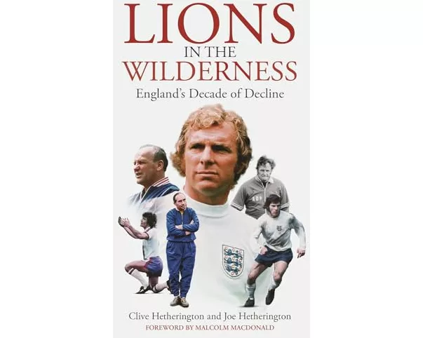 Lions in the Wilderness