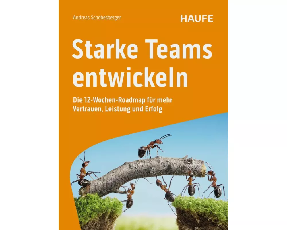 Starke Teams entwickeln