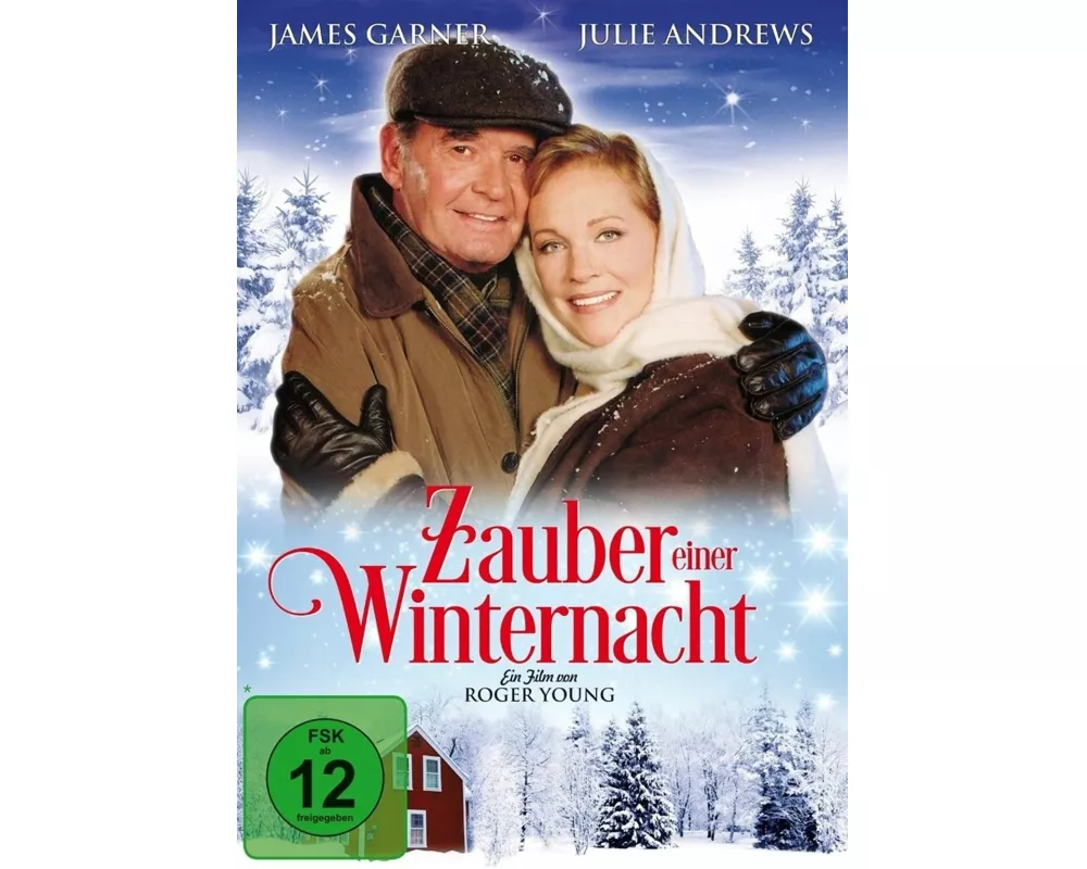 Zauber einer Winternacht