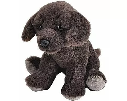 Plüsch Mini Schoko Labrador Pocketkins 13 cm
