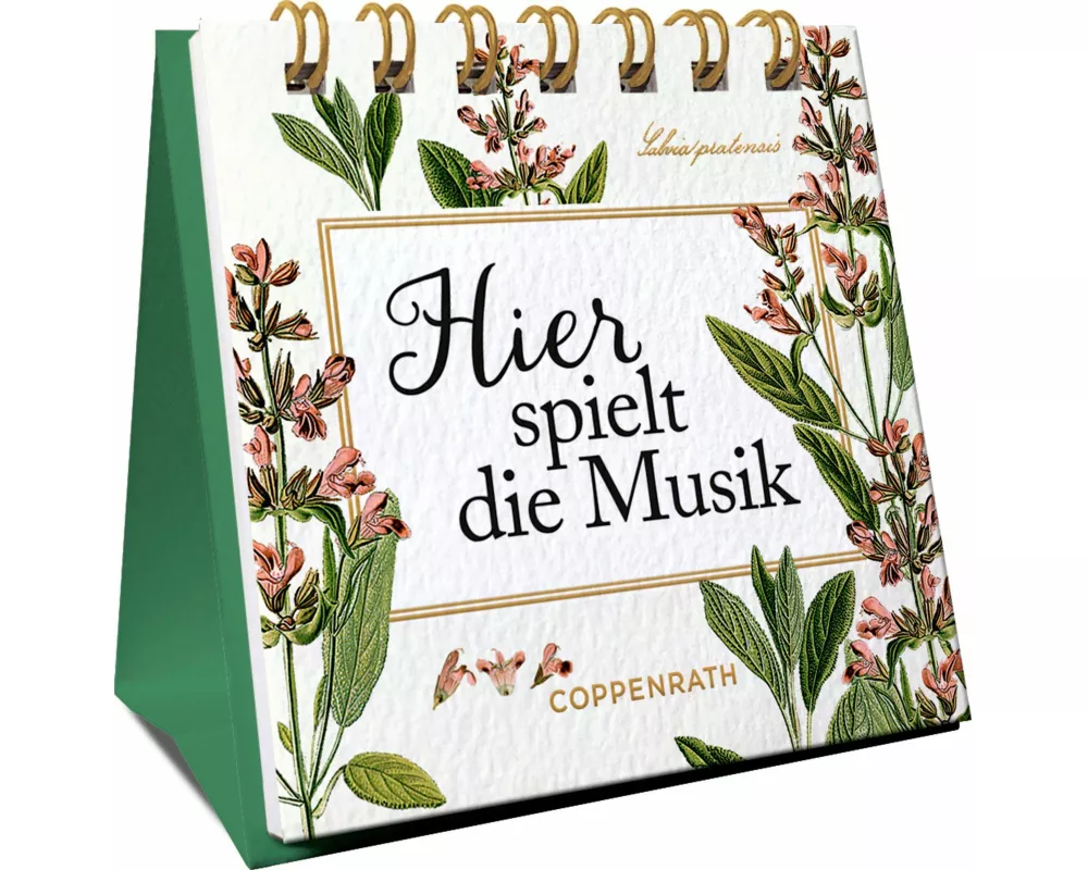 Hier spielt die Musik
