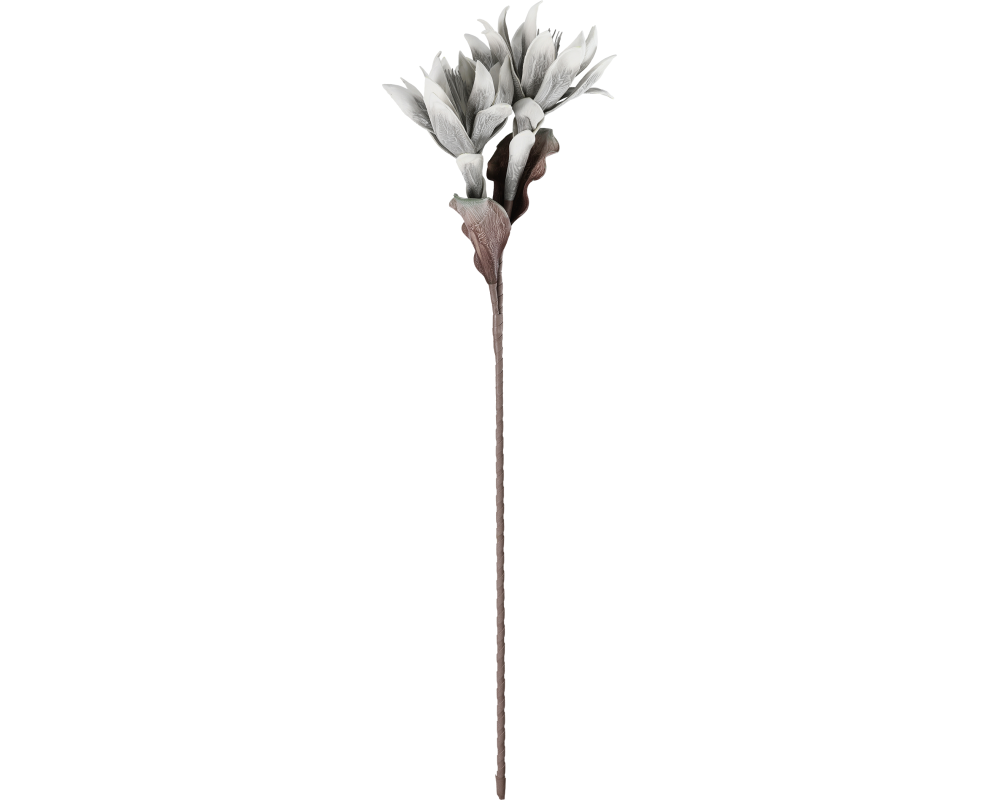 EGLO Kunstblume MOLAVE 428123 grau