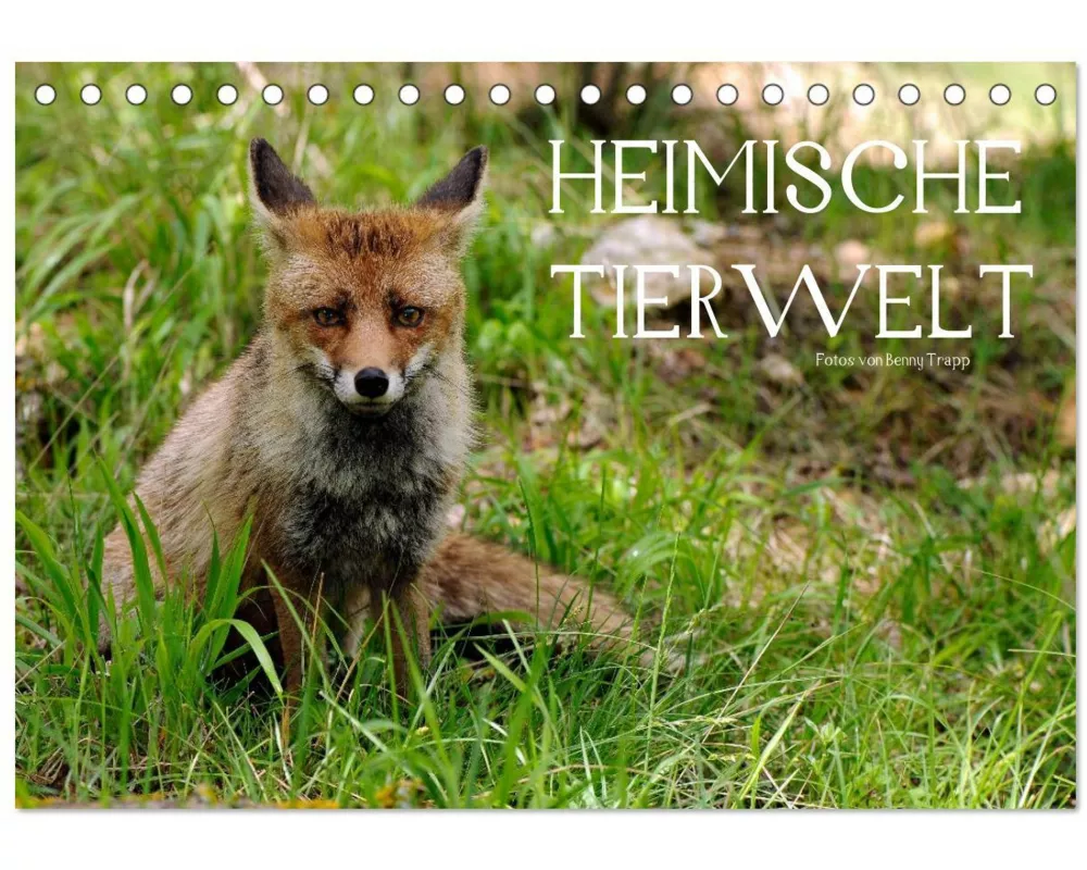 Heimische Tierwelt (Tischkalender 2025 DIN A5 quer), CALVENDO Monatskalender