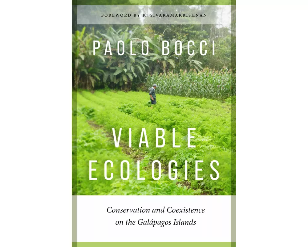 Viable Ecologies