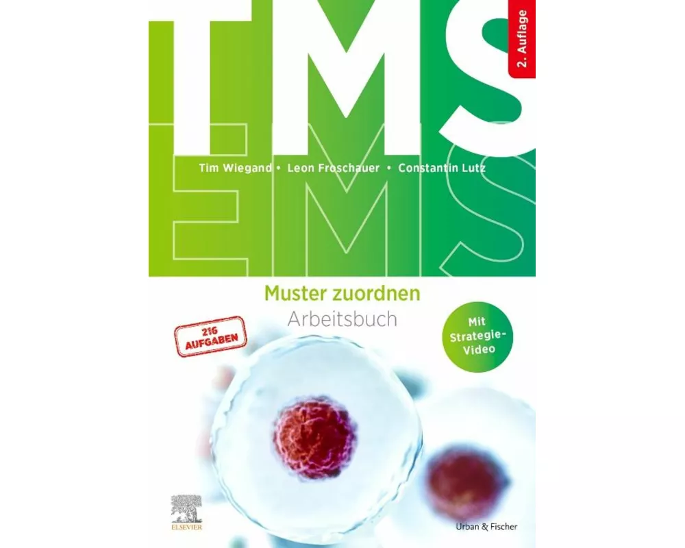 TMS und EMS - Muster zuordnen